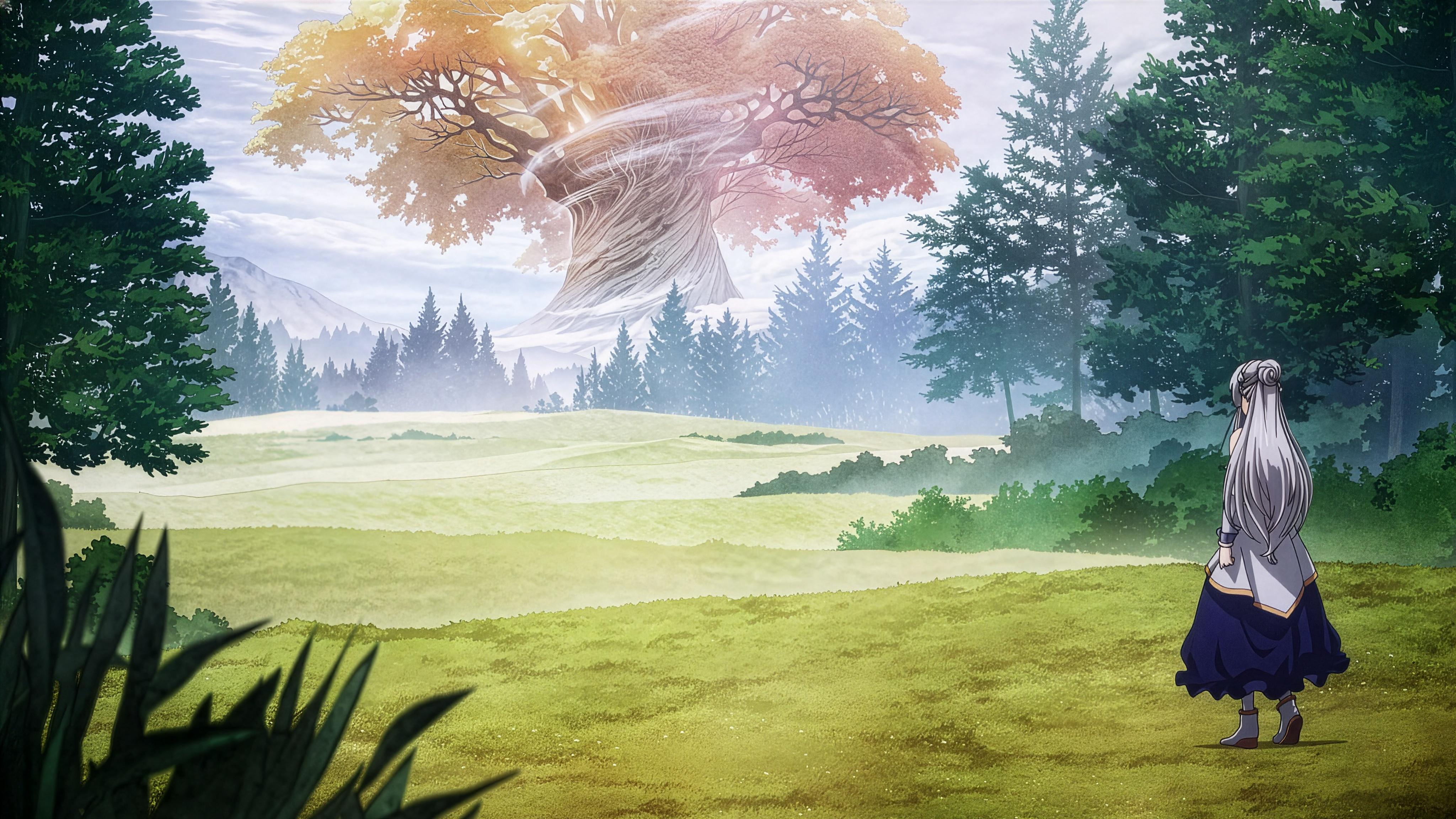 Anime Landscape, Fantasy Art, Forest, Illustration Wallpaper in 4K resolution (4096x2304) Anime Landscape, Fantasy Art, Forest, Illustration 4K Wallpaper Background (4096x2304)