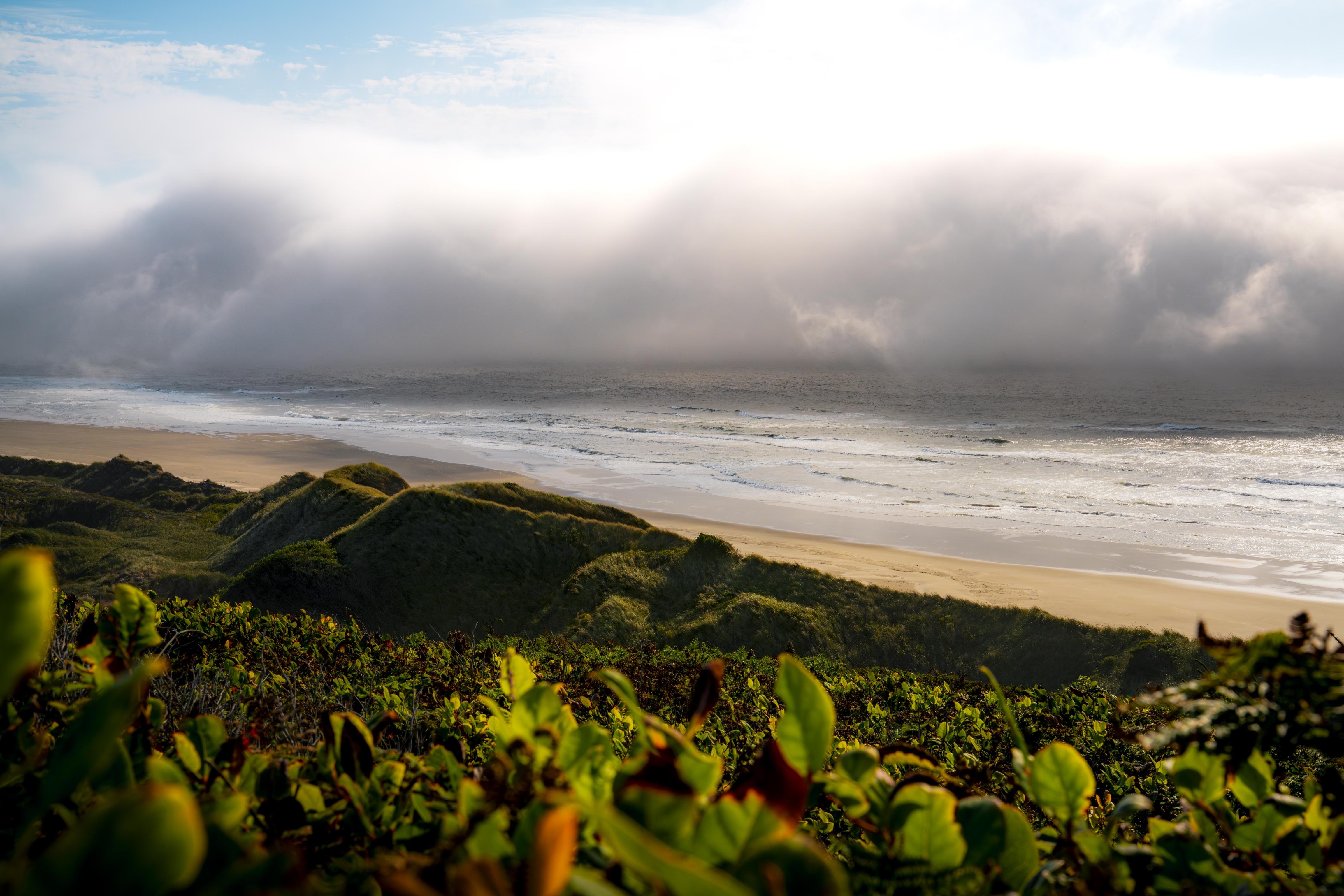 Coastal Landscape, Ocean View, Foggy Beach, Sand Dunes Wallpaper in 4K resolution (4611x3074) Coastal Landscape, Ocean View, Foggy Beach, Sand Dunes 4K Wallpaper Background (4611x3074)