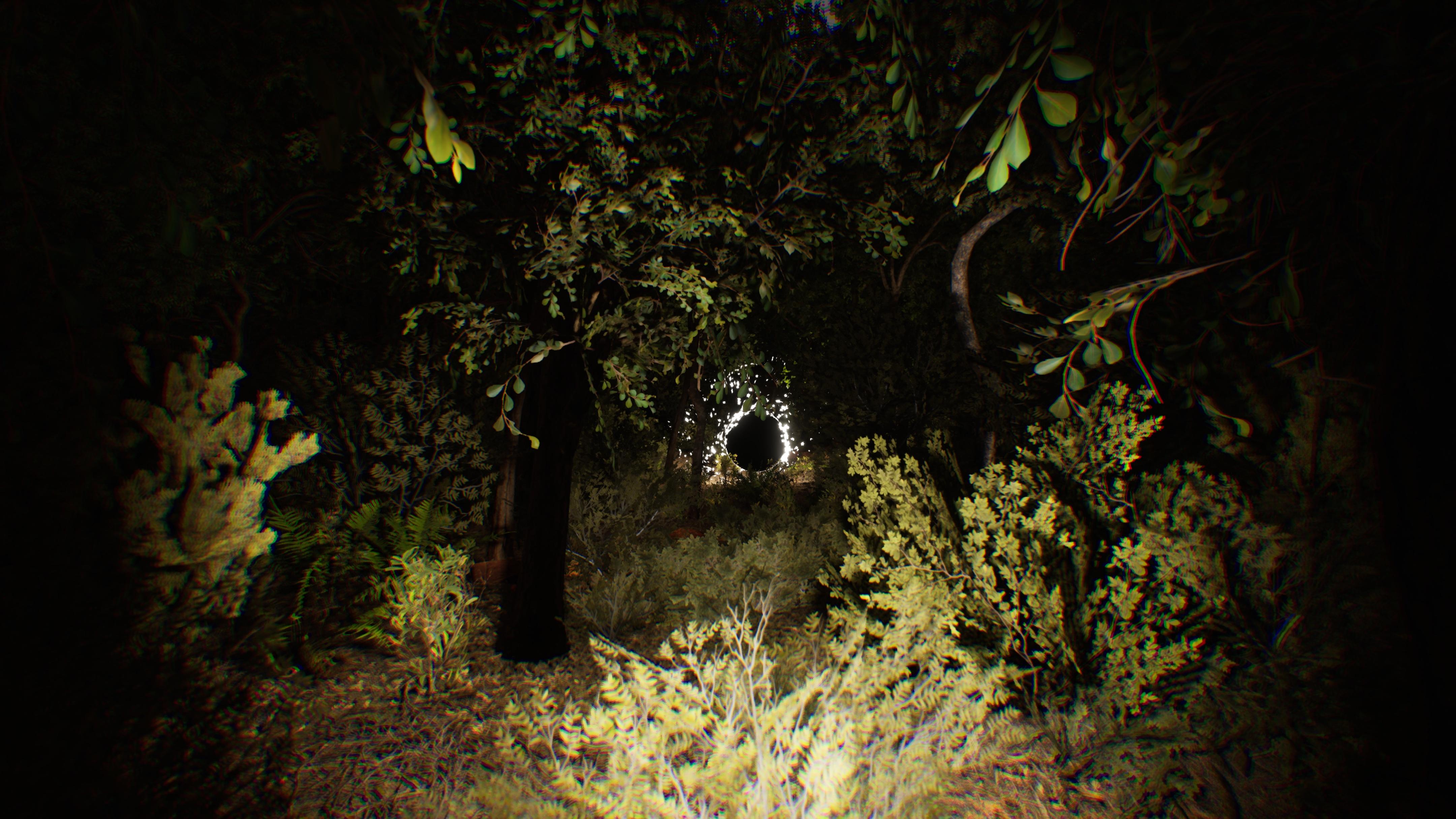 Dark Forest, Night Scene, Spooky, Nature Wallpaper in 4K resolution (4320x2430) Dark Forest, Night Scene, Spooky, Nature 4K Wallpaper Background (4320x2430)