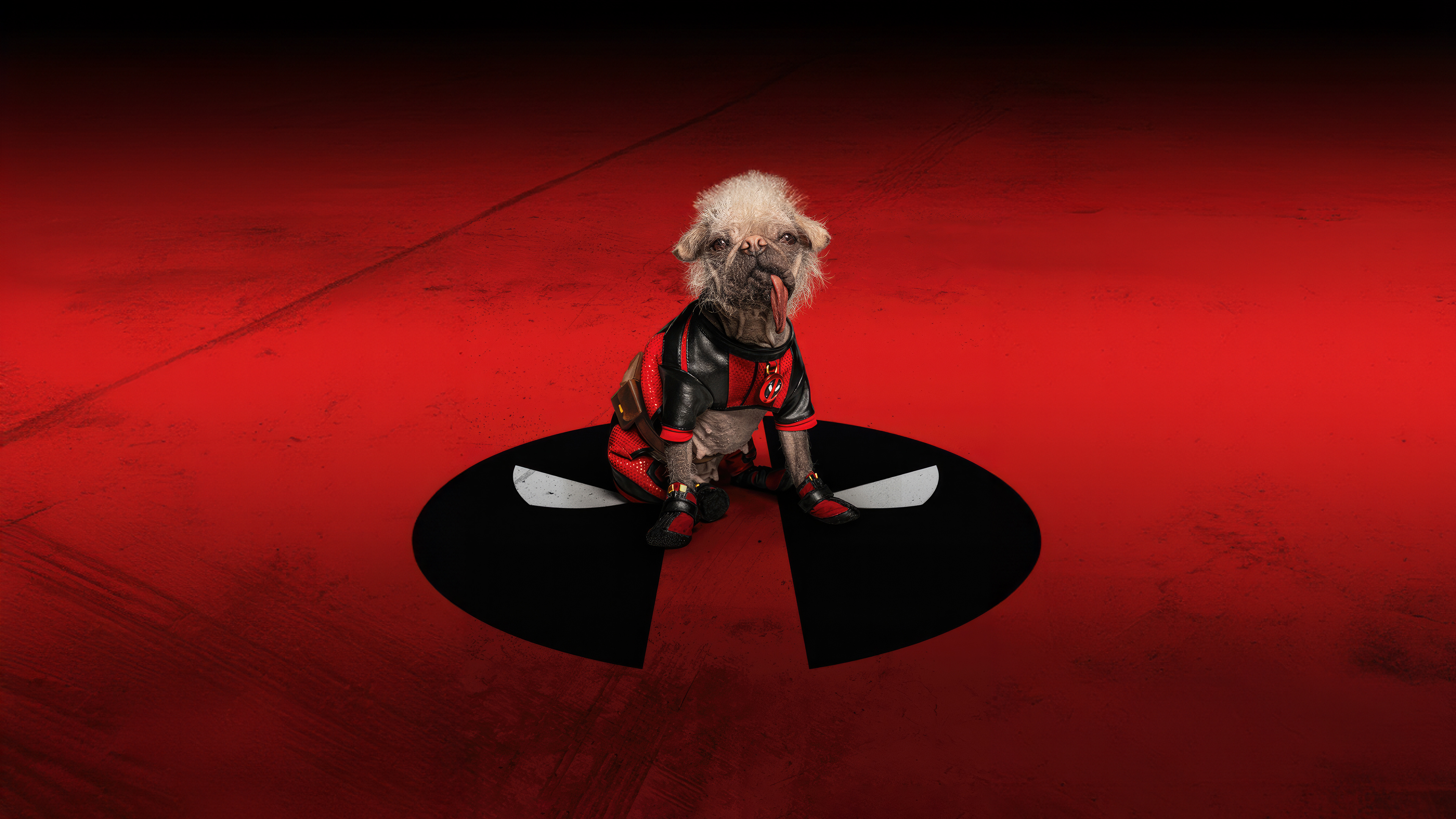 Deadpool, Dog, Superhero, Costume Wallpaper in 4K resolution (3840x2160) Deadpool, Dog, Superhero, Costume 4K Wallpaper Background (3840x2160)
