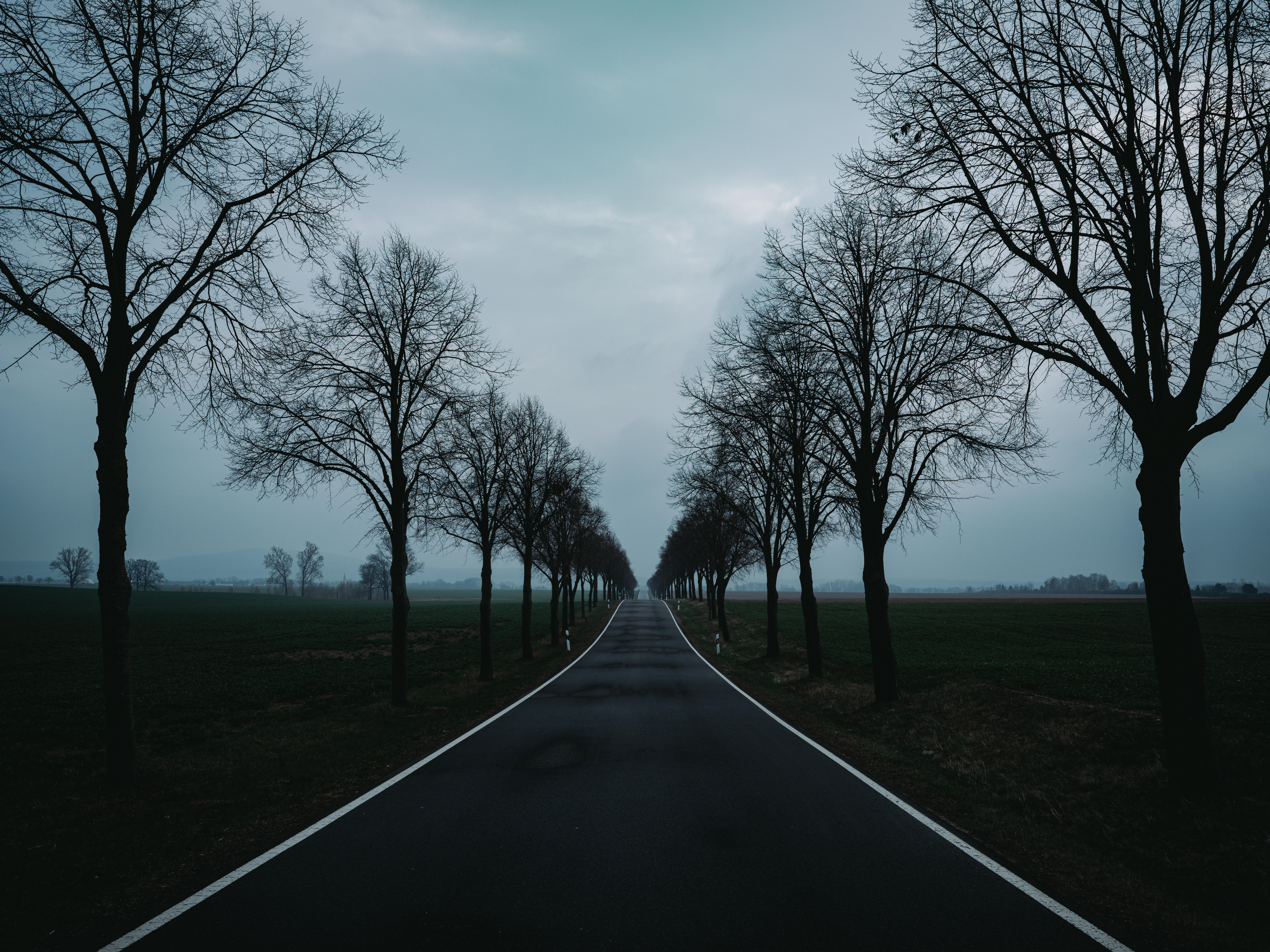 Empty Road Lined with Trees - 8K Background Empty Road Lined with Trees - Landscape Photography 8K Wallpaper (8256x6192)