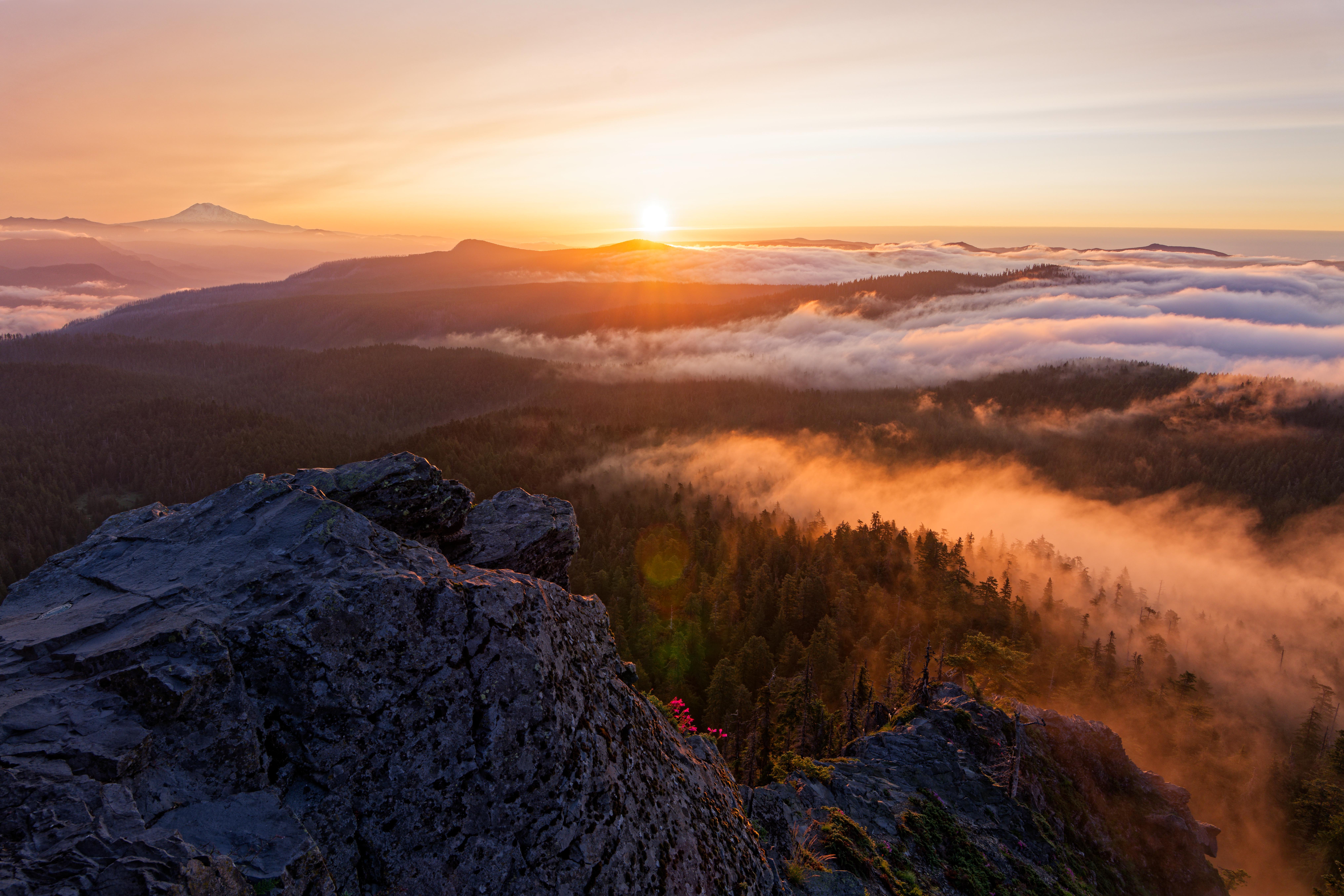 Golden Sunrise Over Forest Fog - 8K Background Golden Sunrise Over Forest Fog - Nature Photography 8K Wallpaper (8127x5422)