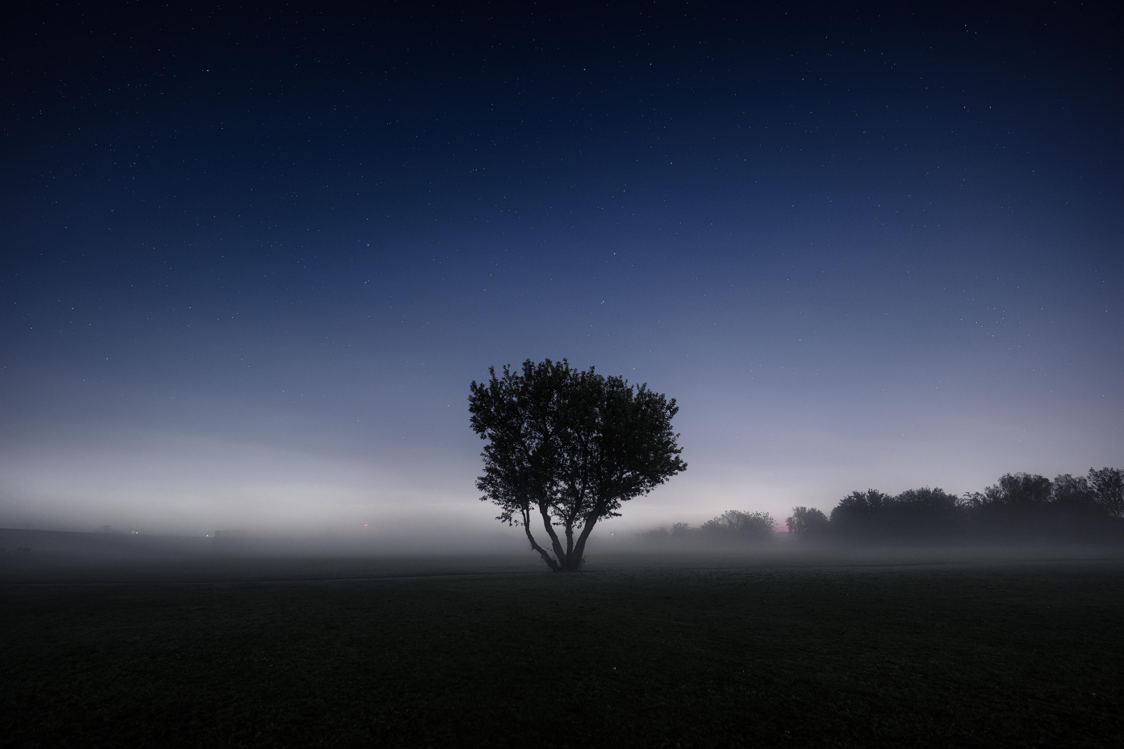 Isolated Tree Under Starry Sky - 4K Background Isolated Tree Under Starry Sky - Long Exposure Photography 4K Wallpaper (3840x2560)