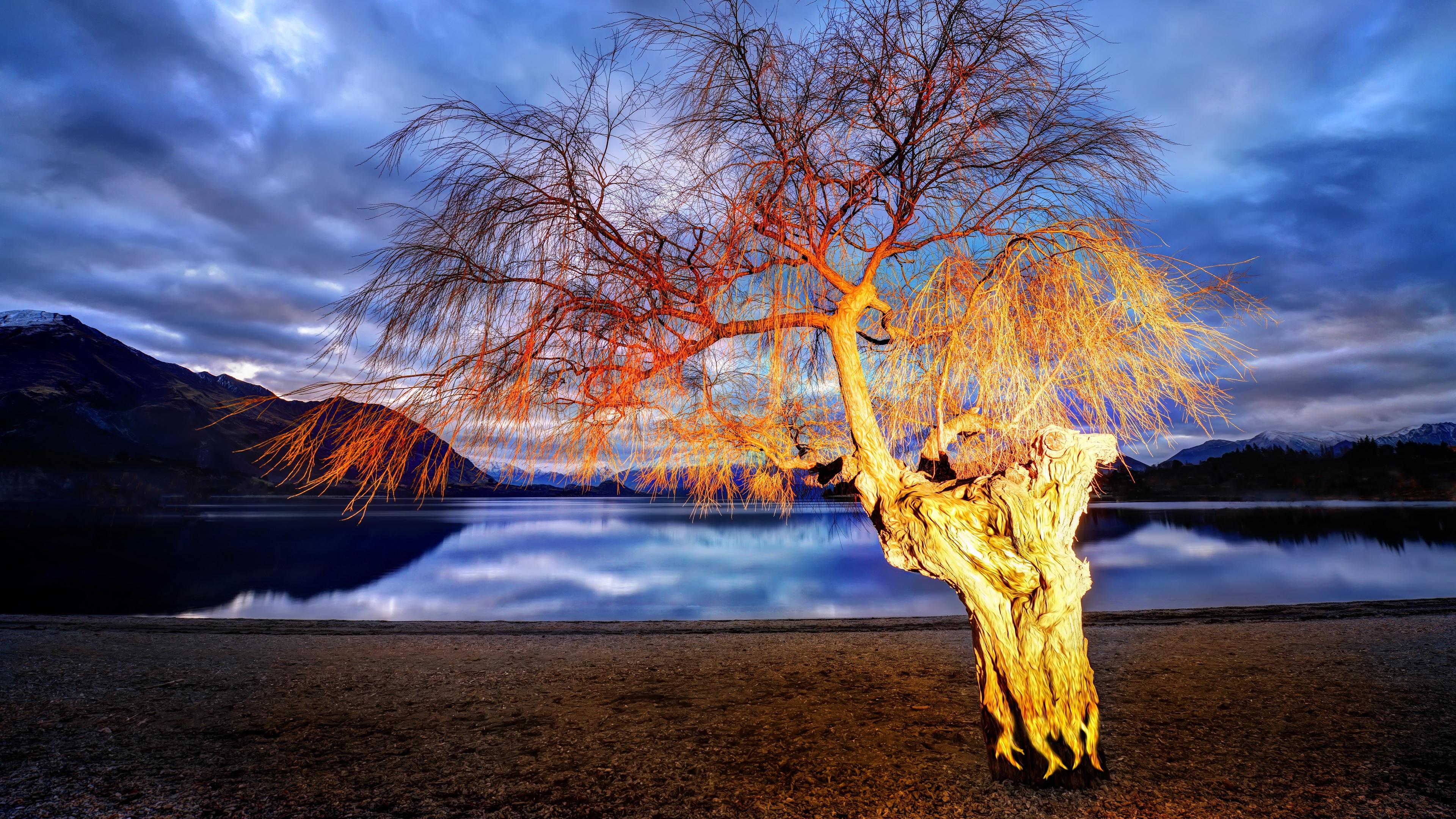 Lake Wanaka, New Zealand, Landscape, Willow Tree Wallpaper in 4K resolution (3840x2160) Lake Wanaka, New Zealand, Landscape, Willow Tree 4K Wallpaper Background (3840x2160)