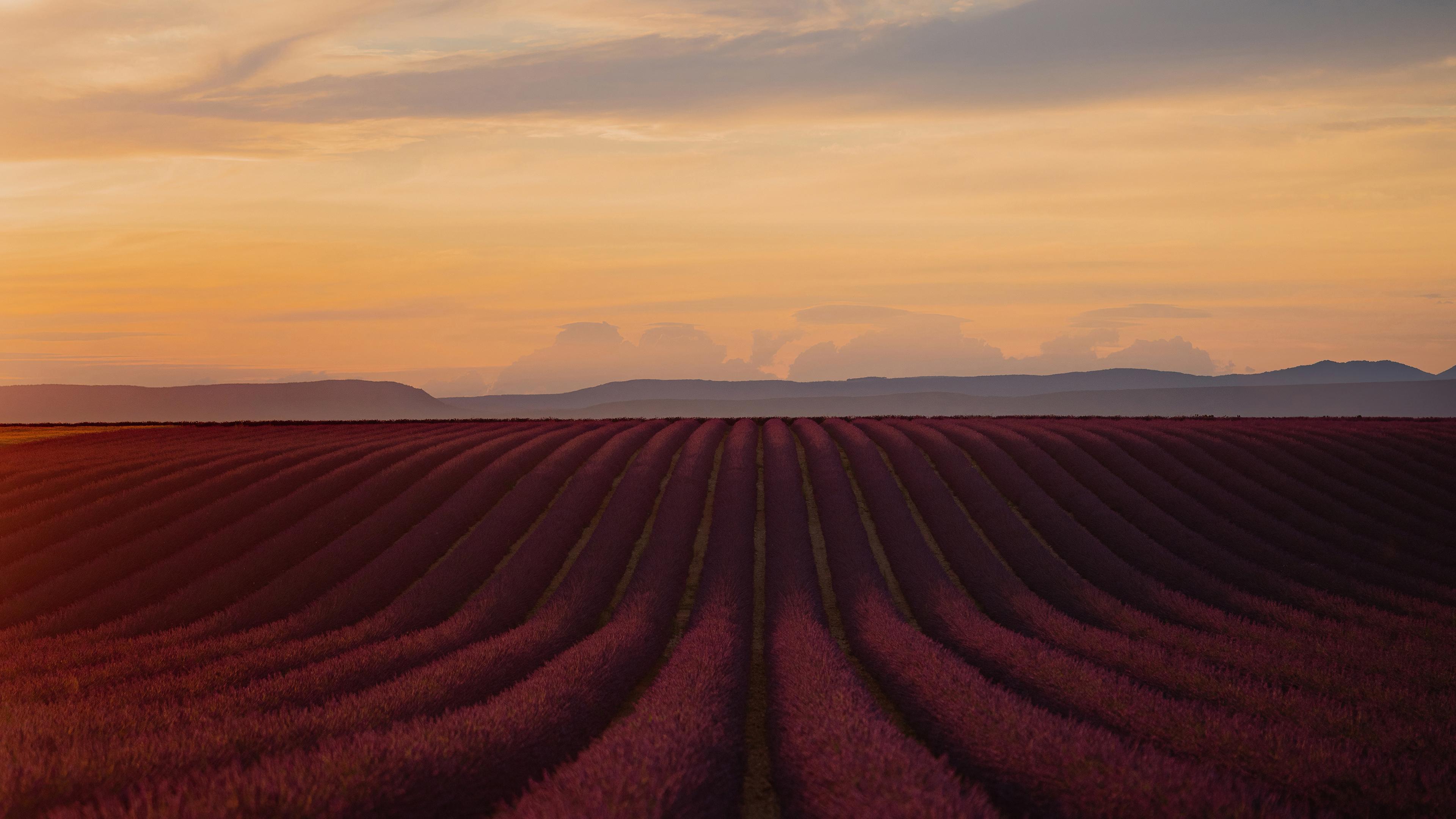 Lavender Field, Sunset Landscape, Provence, Nature Scenery Wallpaper in 4K resolution (3840x2160) Lavender Field, Sunset Landscape, Provence, Nature Scenery 4K Wallpaper Background (3840x2160)