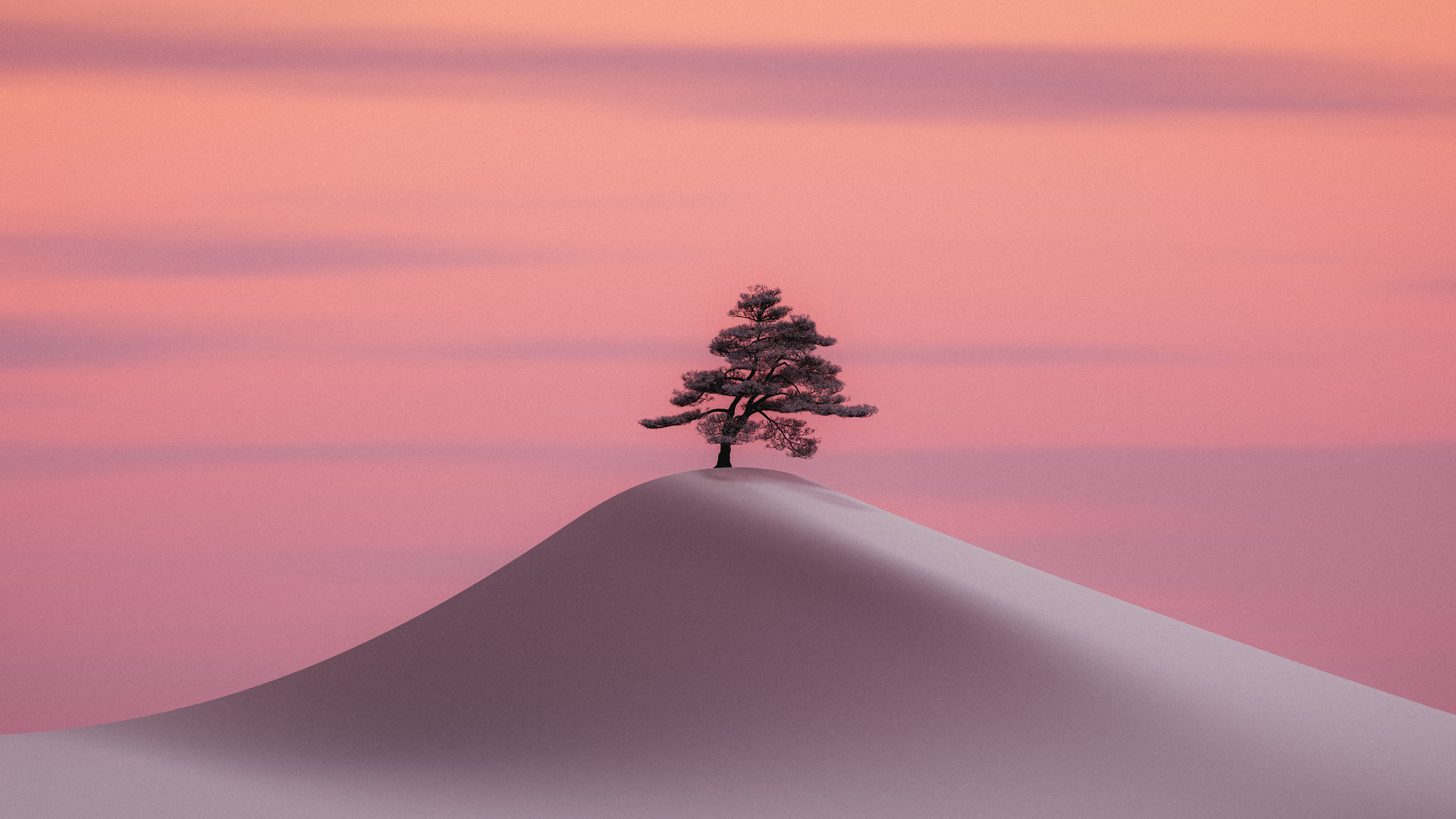 Lone Tree, Winter Landscape, Minimalist Nature, Pink Sunset Wallpaper in 4K resolution (3840x2160) Lone Tree, Winter Landscape, Minimalist Nature, Pink Sunset 4K Wallpaper Background (3840x2160)