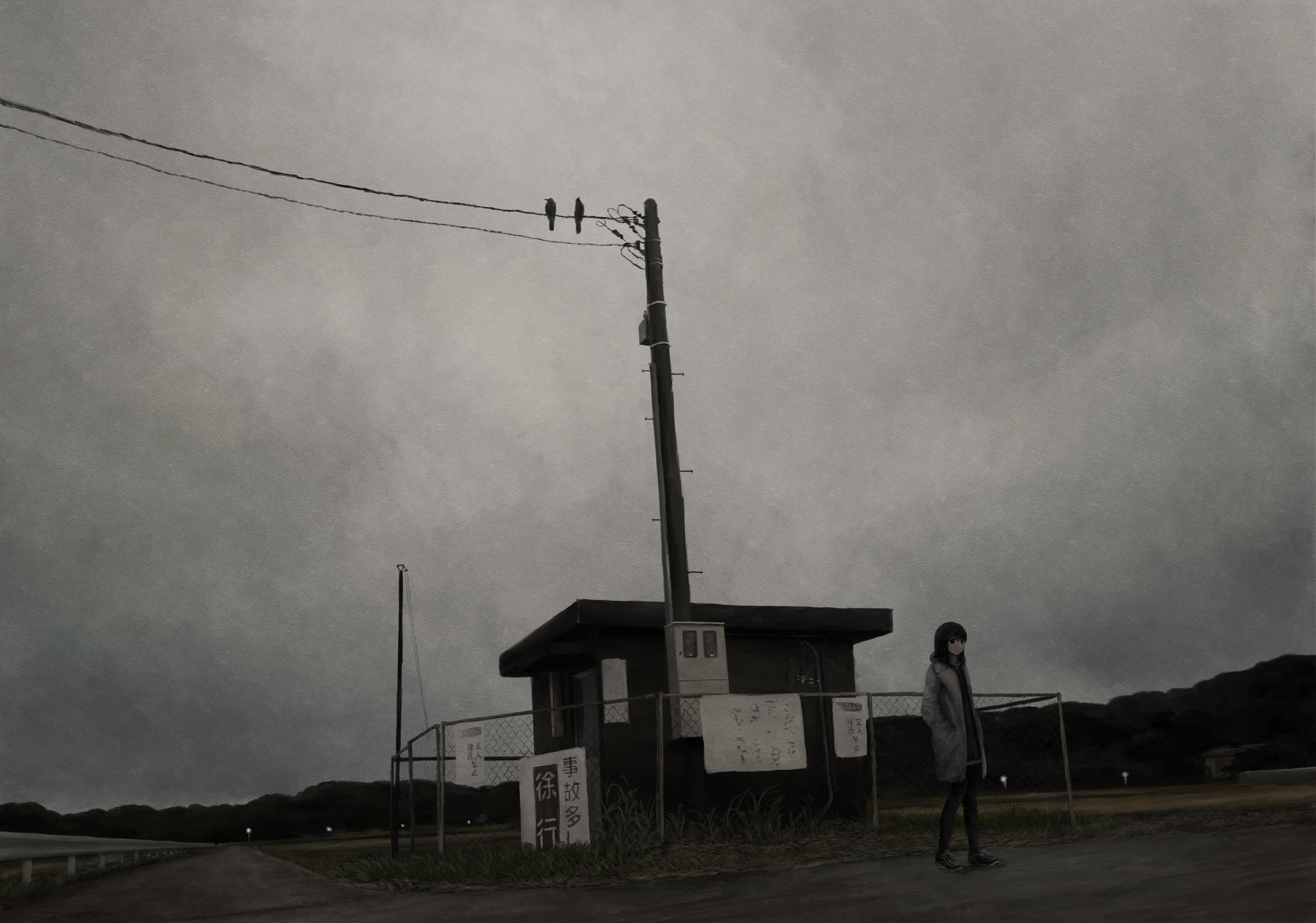 Lonely Girl Under Gloomy Sky - 4K Background Lonely Girl Under Gloomy Sky - Moody Digital Illustration 4K Wallpaper (4093x2872)