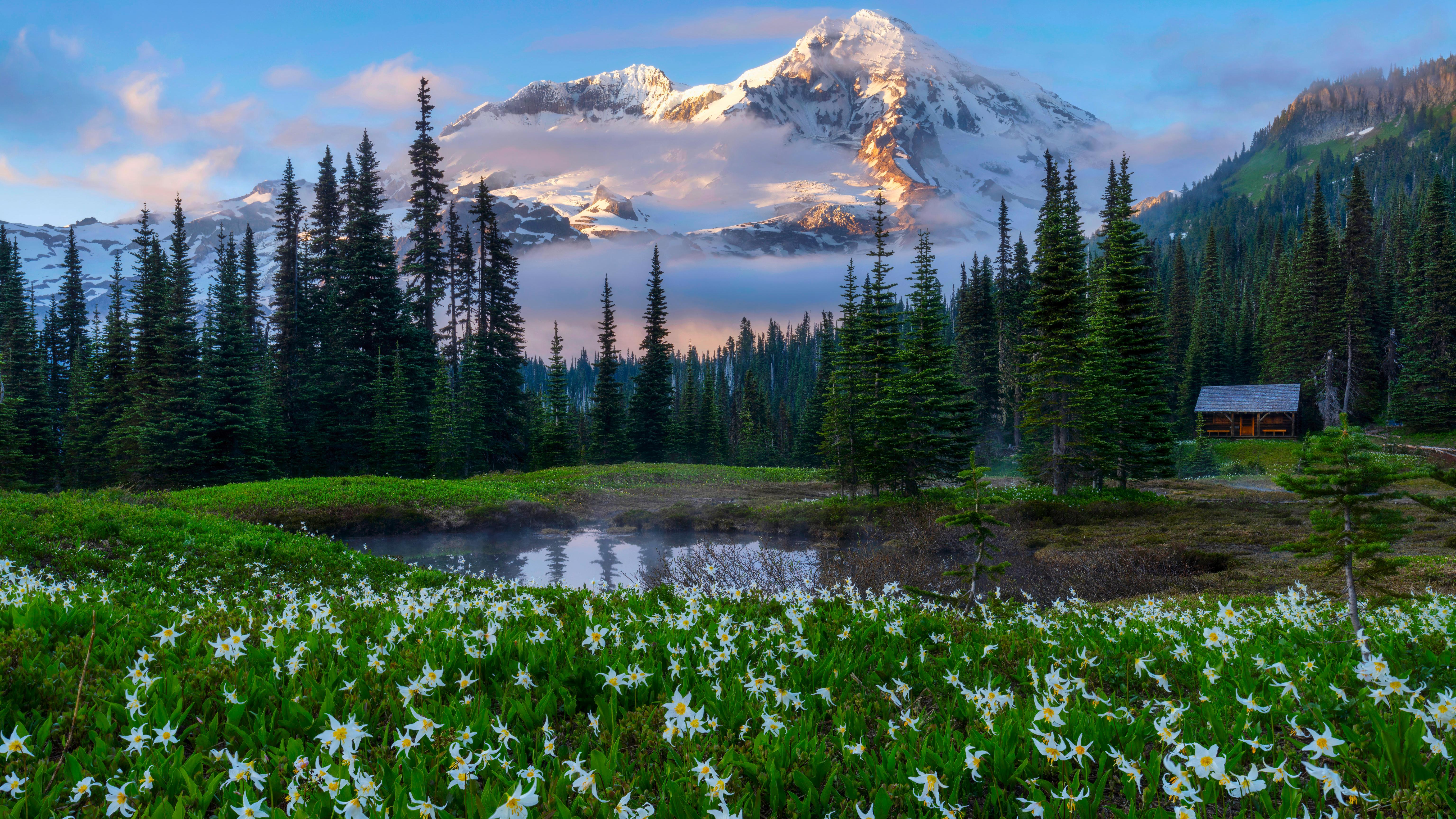 Mount Rainier Meadow In Bloom - 5K Background Mount Rainier Meadow In Bloom - Landscape Photography 5K Wallpaper (6144x3456)