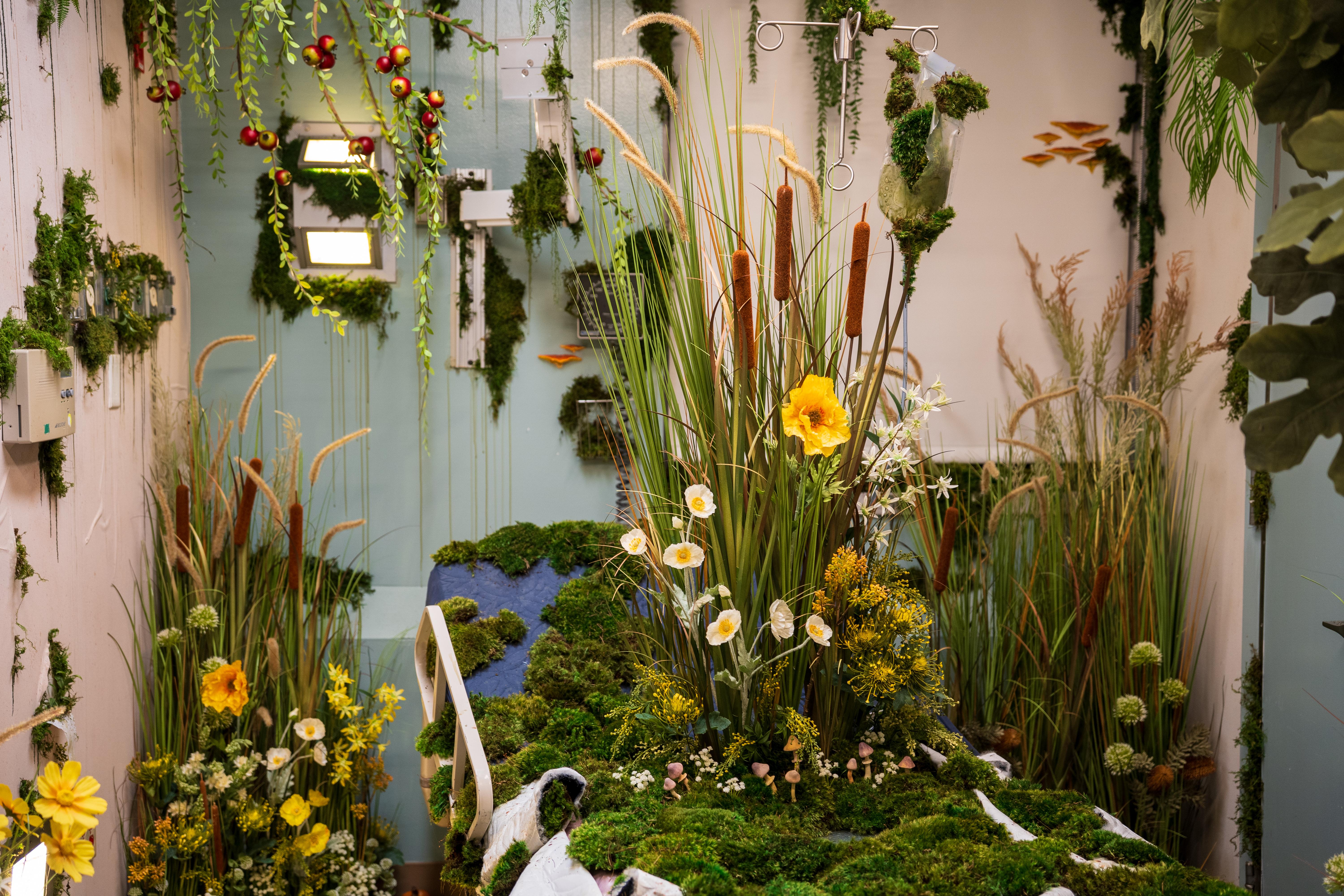 Nature Reclaiming A Hospital Room - 5K Background Nature Reclaiming A Hospital Room - Installation Art 5K Wallpaper (6000x4000)