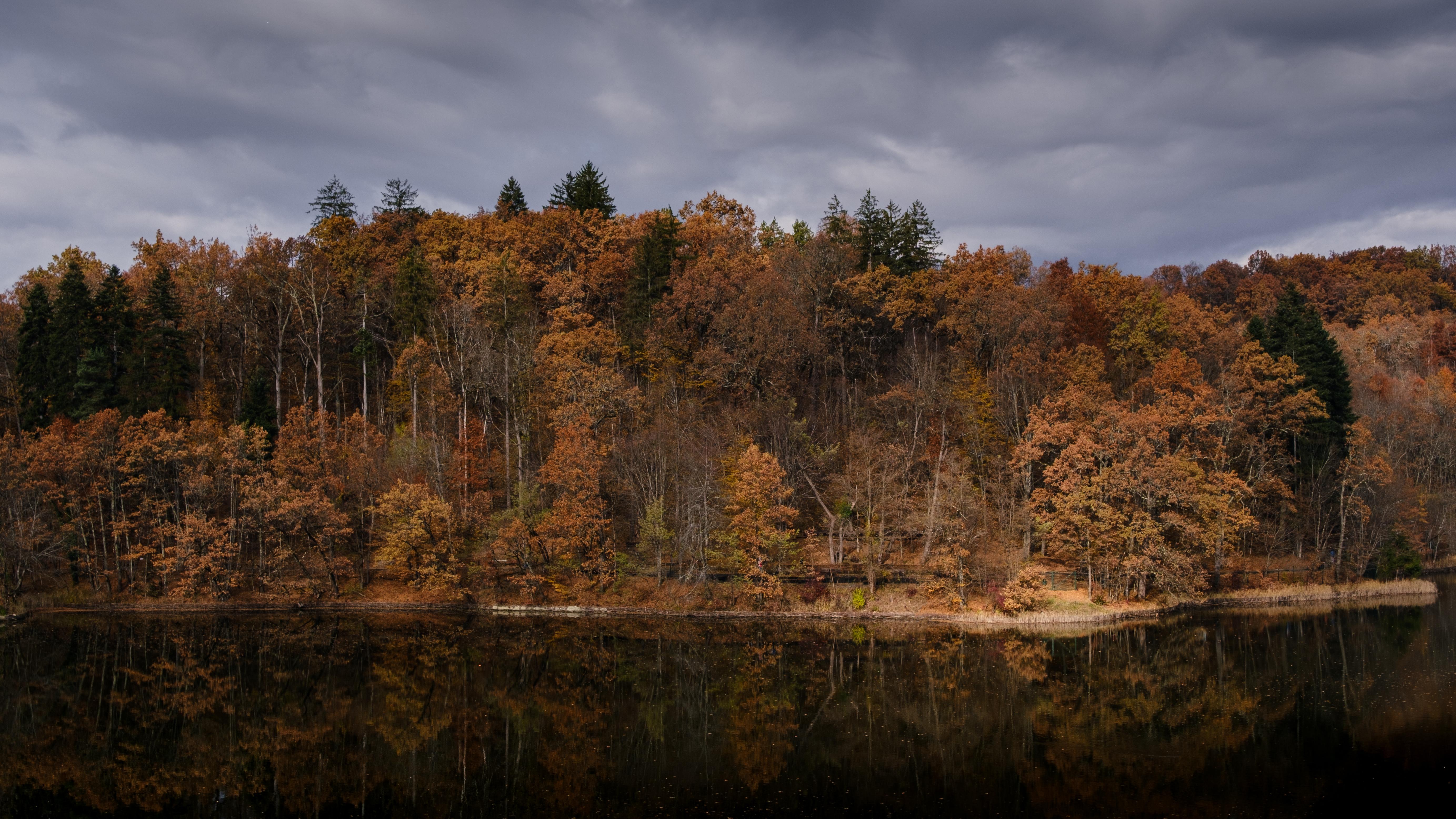 Overcast Autumn Forest By Lake - 5K Background Overcast Autumn Forest By Lake - Moody Nature Photography 5K Wallpaper (5533x3112)