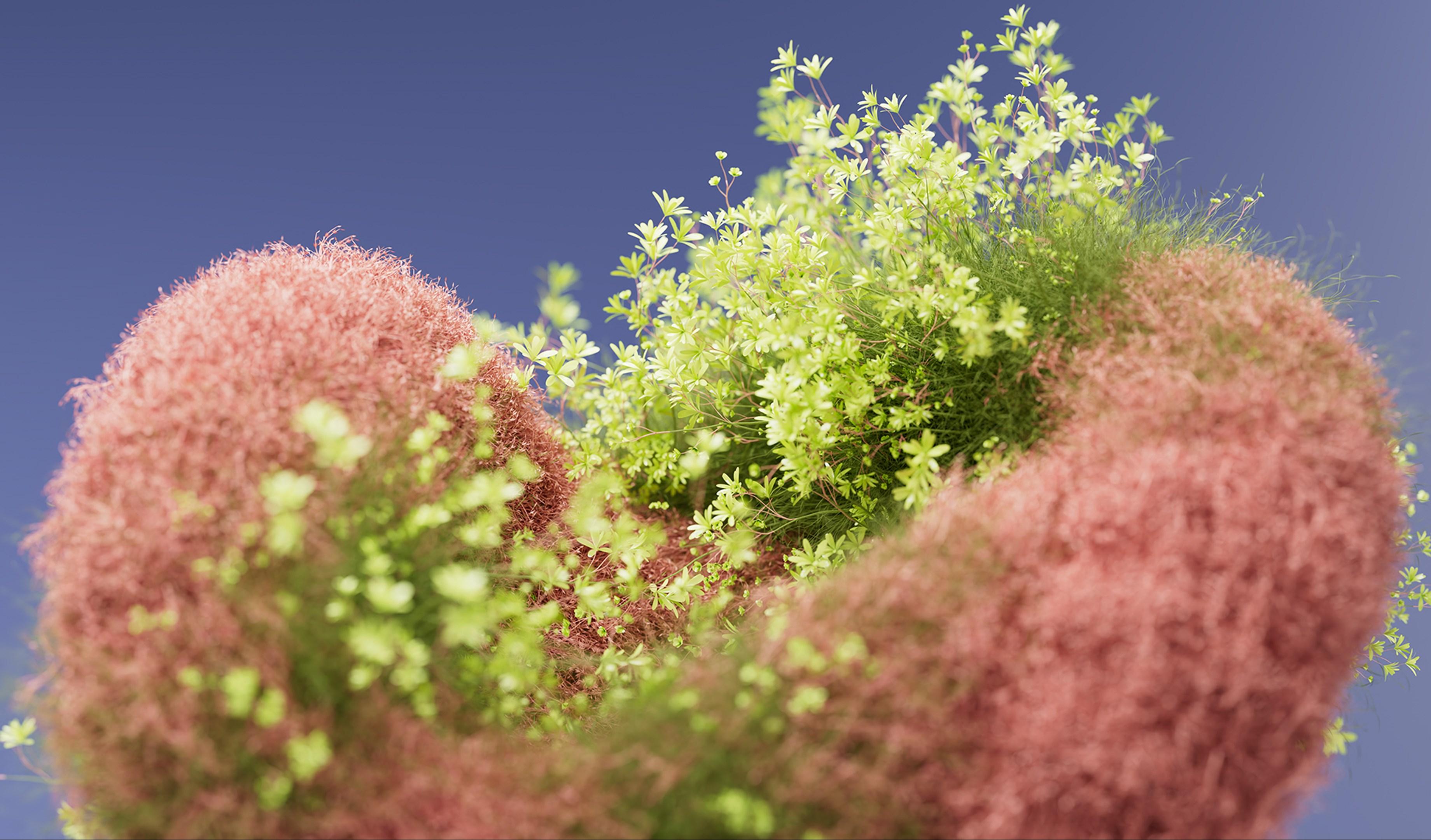 Pink Moss Heart With Flowers - 2K Background Pink Moss Heart With Flowers - 3D Digital Art 2K Wallpaper (3680x2161)
