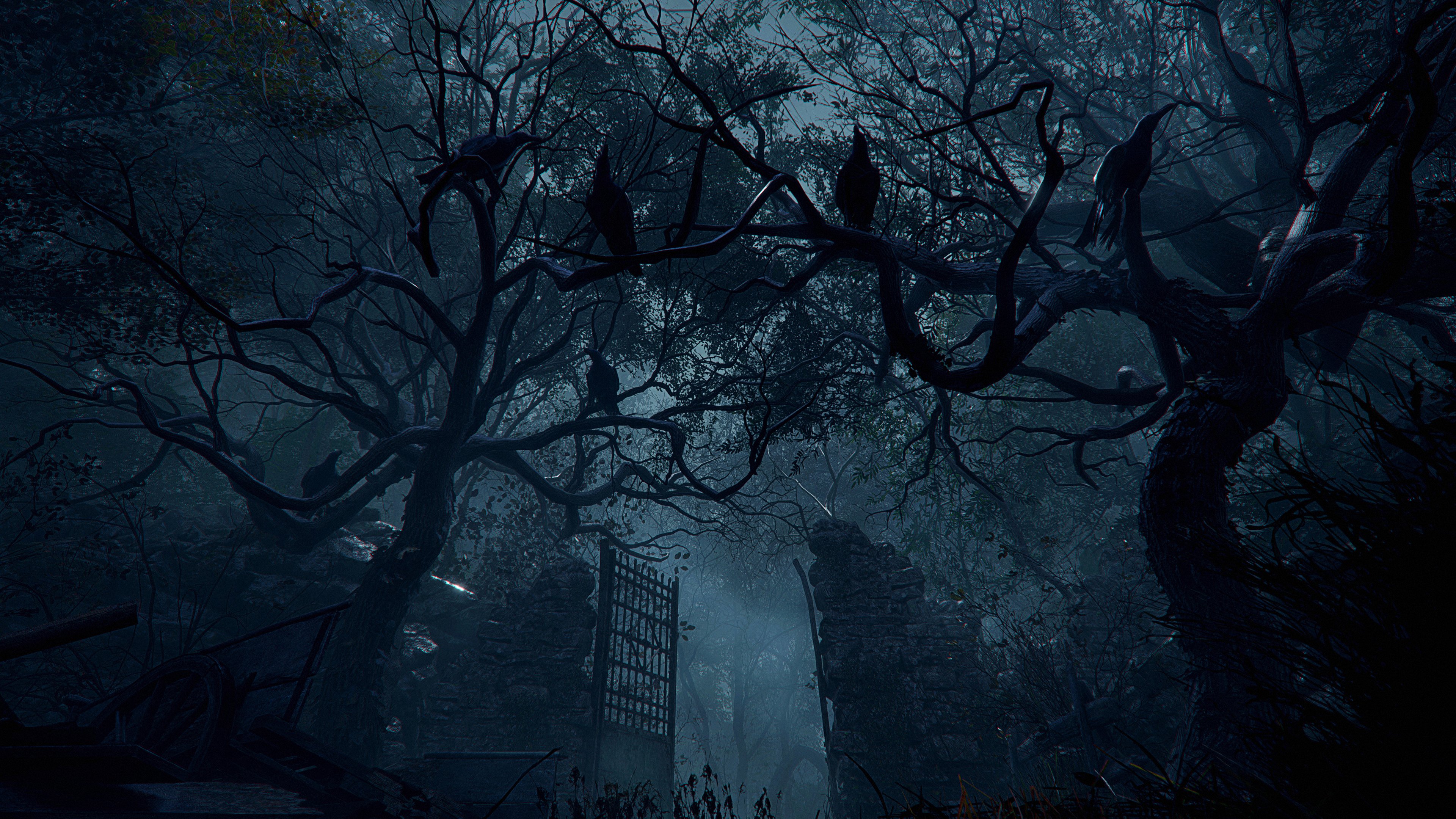 Resident Evil, Spooky, Forest, Ravens, Gate 4K Desktop Wallpaper Resident Evil, Spooky, Forest, Ravens, Gate 4K Desktop Wallpaper Background (3840x2160) Free Download