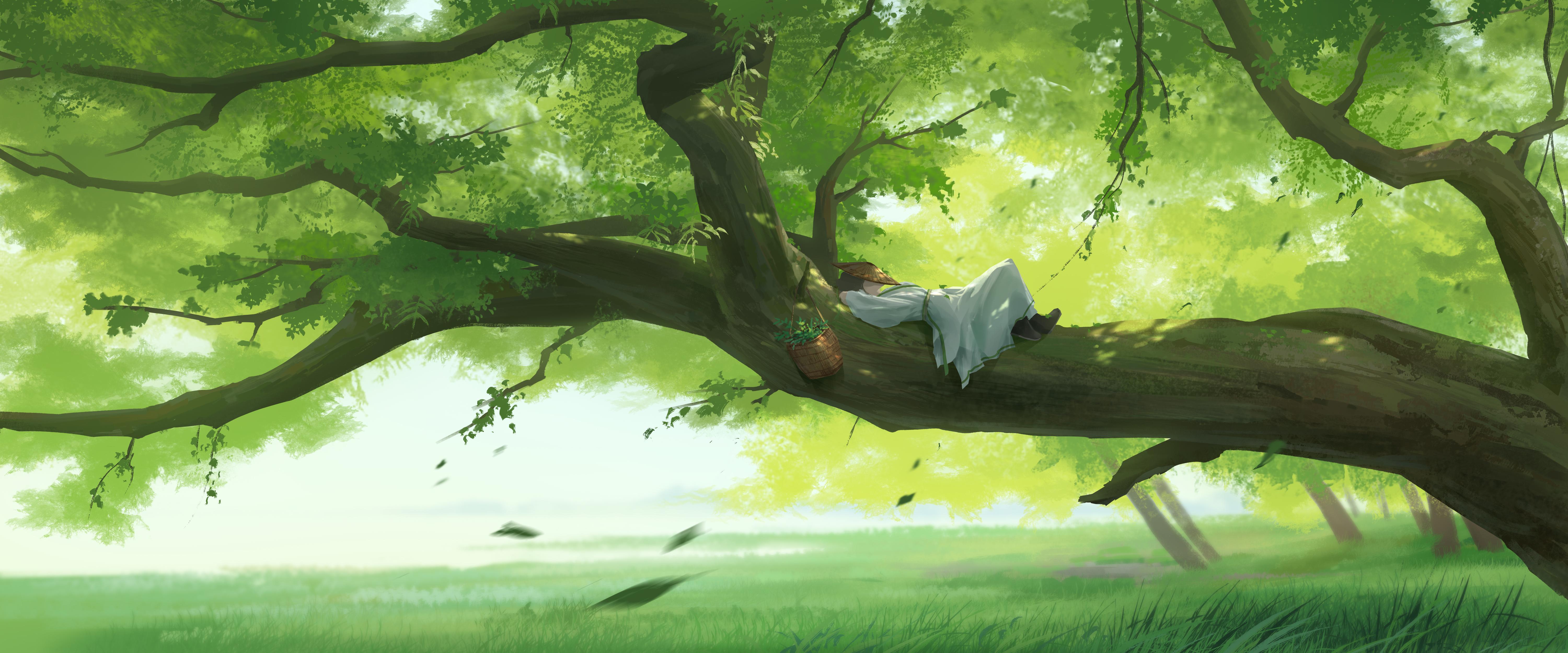 Scholar Resting On Great Tree - 4K Background Scholar Resting On Great Tree - Digital Painting Art 4K Wallpaper (6000x2500)