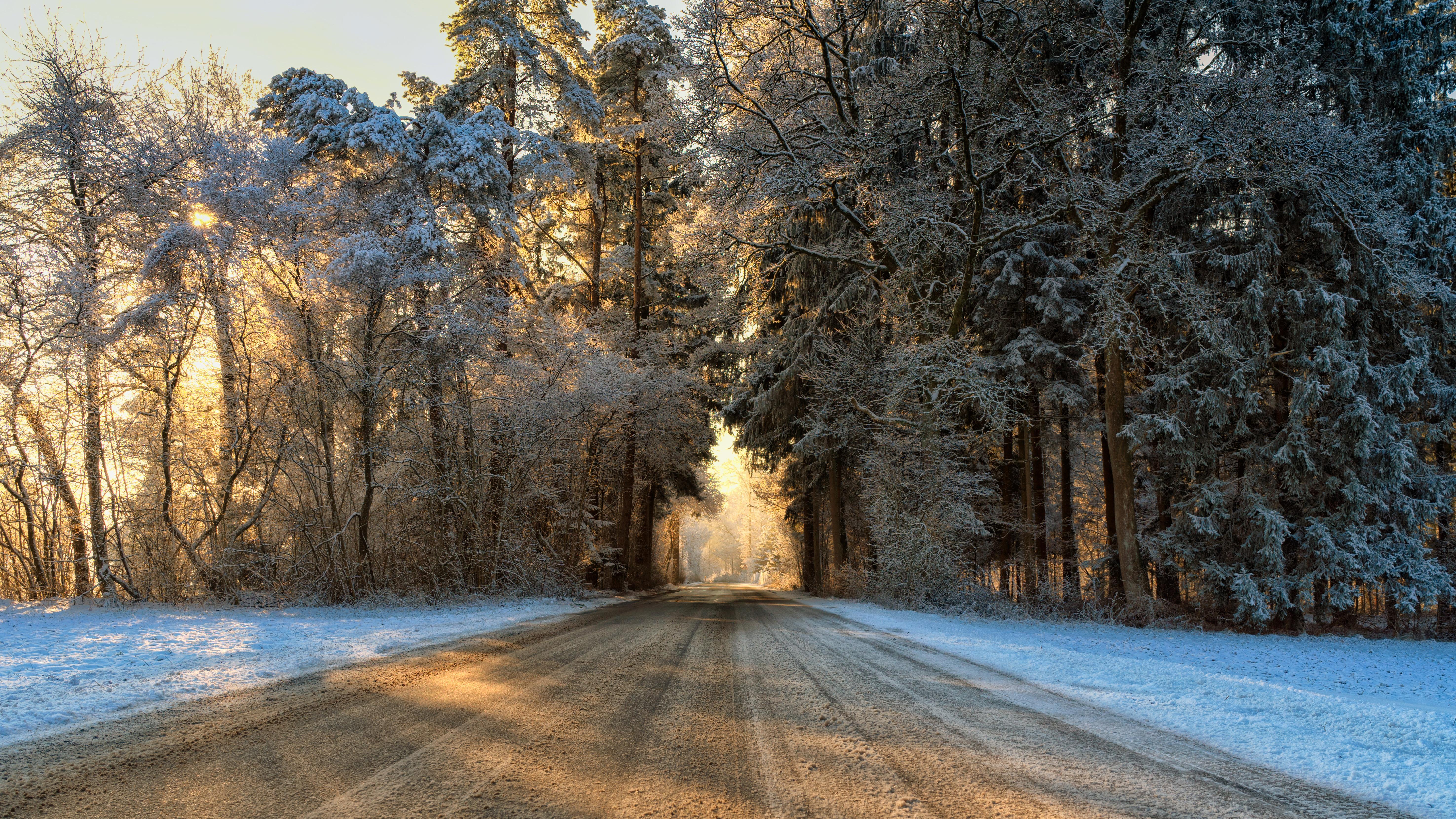 Sunlit Snowy Forest Road - 5K Background Sunlit Snowy Forest Road - Landscape Photography 5K Wallpaper (5902x3320)
