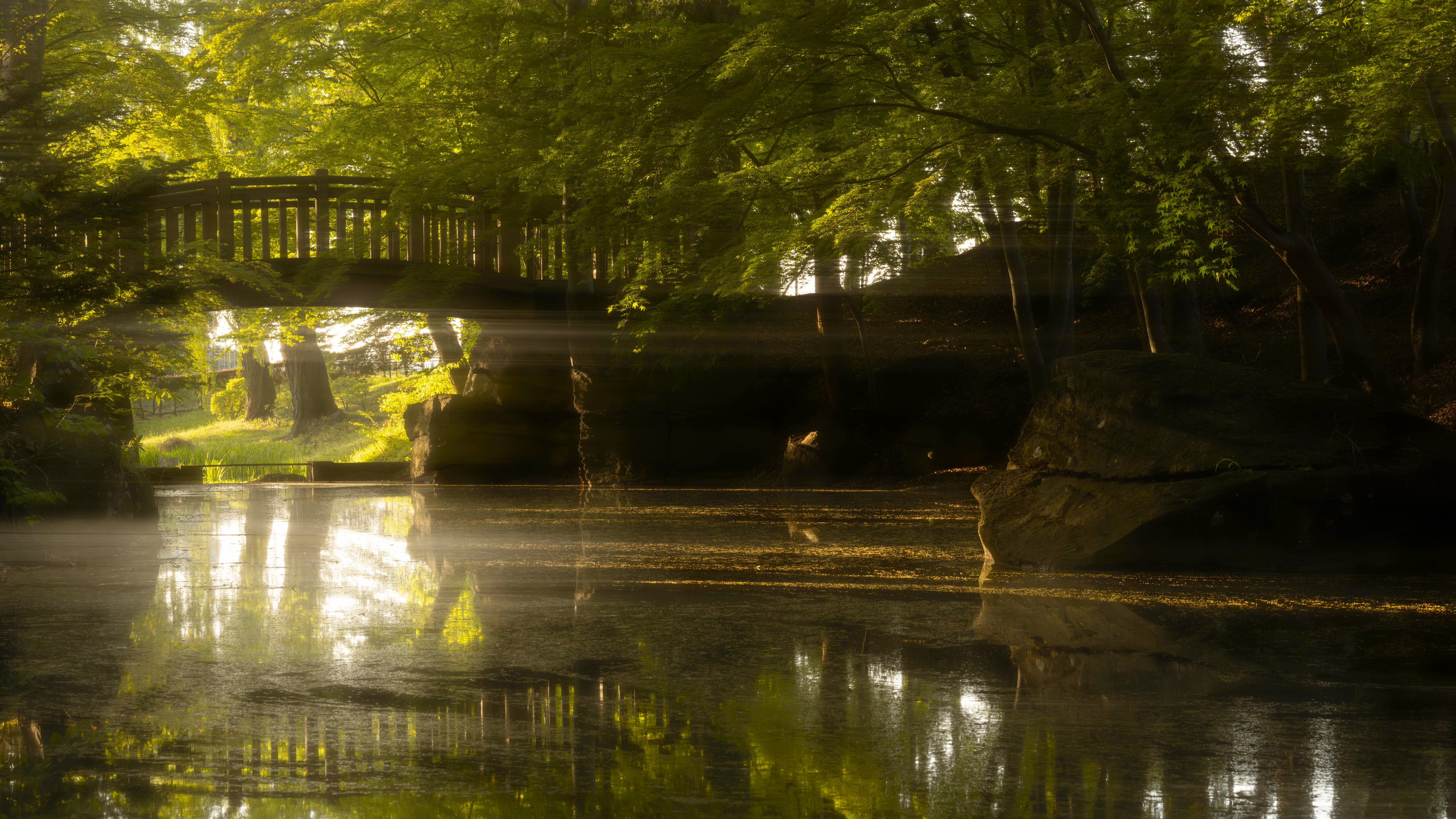 Sunlit Wooden Bridge Over Pond - 5K Background Sunlit Wooden Bridge Over Pond - Nature Photography 5K Wallpaper (6144x3457)