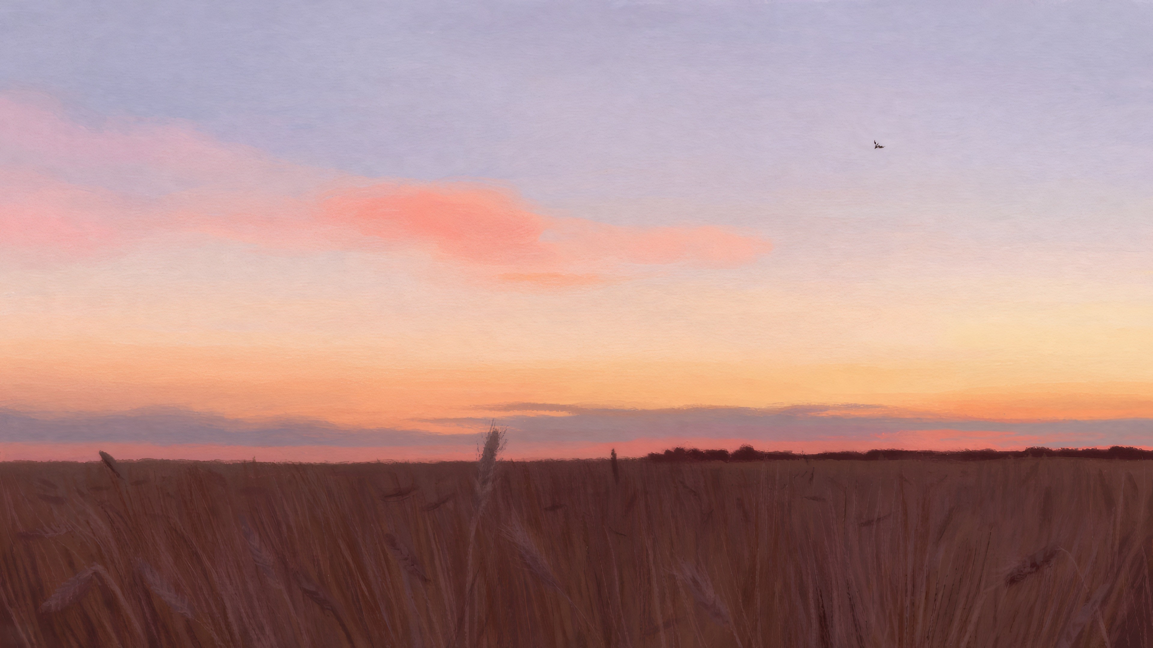 Wheat Field, Sunset, Sky, Nature Wallpaper in 4K resolution (3840x2160) Wheat Field, Sunset, Sky, Nature 4K Wallpaper Background (3840x2160)