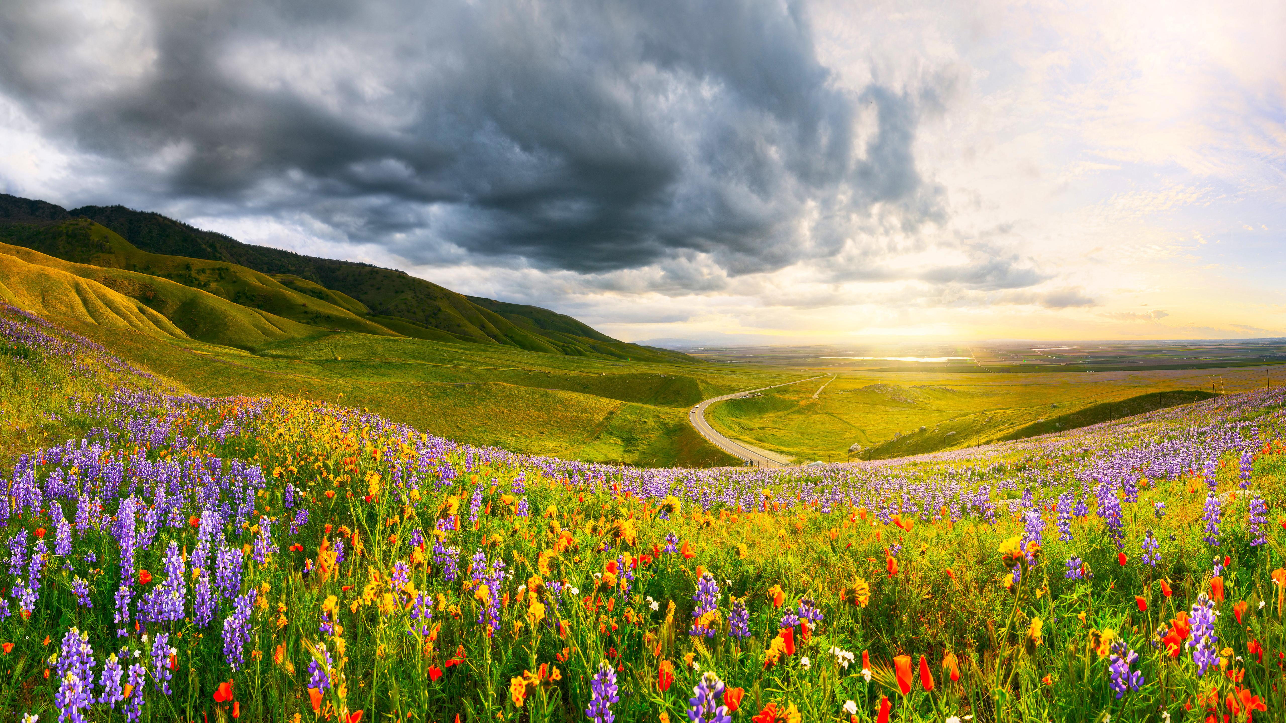 Wildflower Hills Under Stormy Skies - 5K Background Wildflower Hills Under Stormy Skies - Landscape Photography 5K Wallpaper (5120x2880)