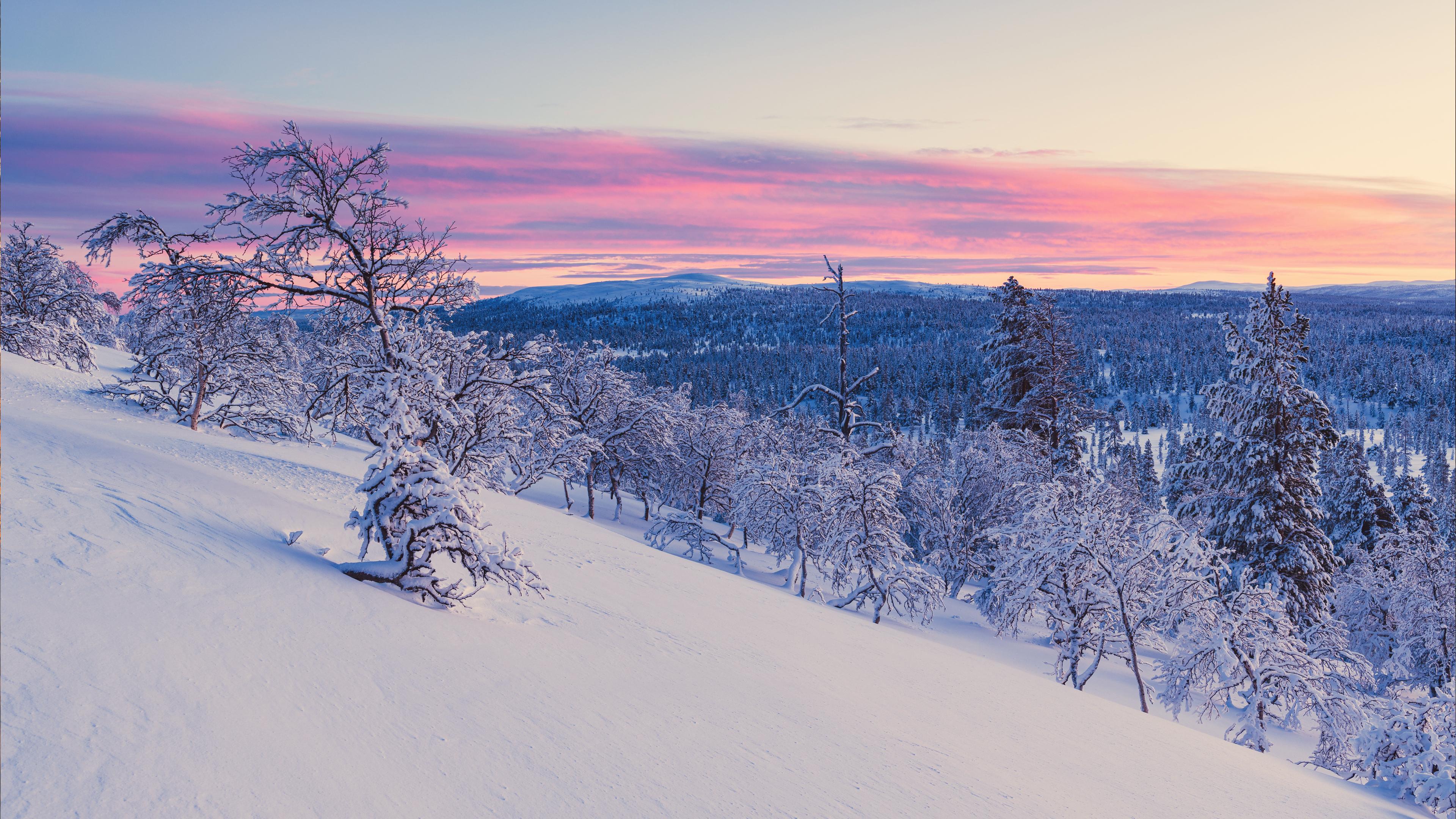 Winter Landscape, Snow-Covered Trees, Pink Sunset Sky, Arctic Nature Wallpaper in 4K resolution (3840x2160) Winter Landscape, Snow-Covered Trees, Pink Sunset Sky, Arctic Nature 4K Wallpaper Background (3840x2160)